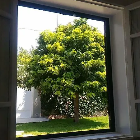 Delle Muse * פונטנה ביאנקה