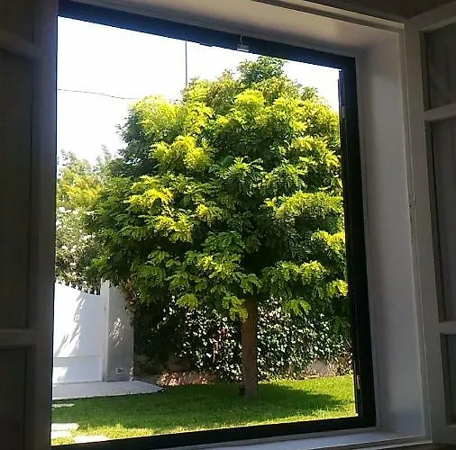 Delle Muse * Fontane Bianche